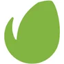 envato